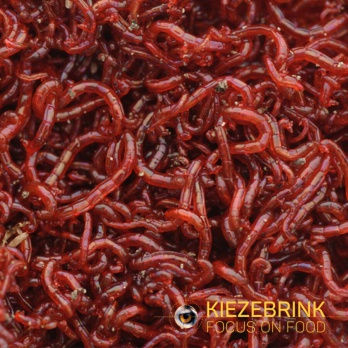 Frozen Fish Food - Blood worms