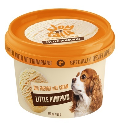 JOY FOR TAILS LITTLE PUMPKIN ice cream