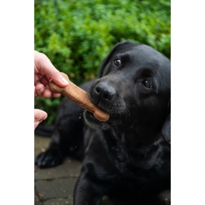 Bugbone bone cookies