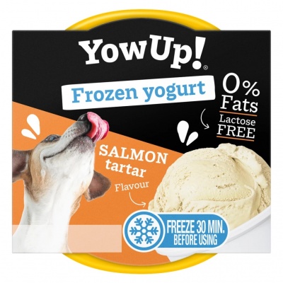 YowUp! Frozen Yoghurt "Salmon Tartar"