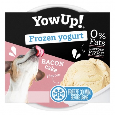 YowUp! Frozen Yoghurt "Bacon Cake"